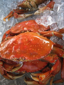 Fresh Crab this Saturday