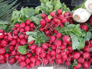 Crunchy radishes from RJ Farms.