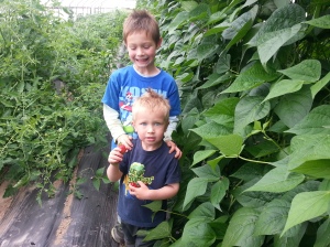 RJ 's Farm boys showing off their hoophouses!