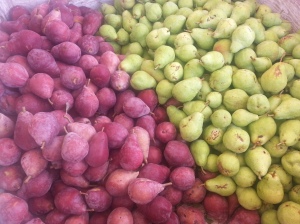 Green and Red Pears coming too!