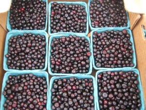 Yup...find the elusive huckleberries this weekend.